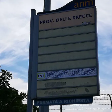 S Napoli